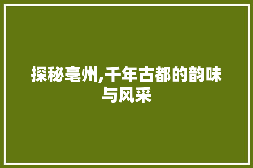 探秘亳州,千年古都的韵味与风采