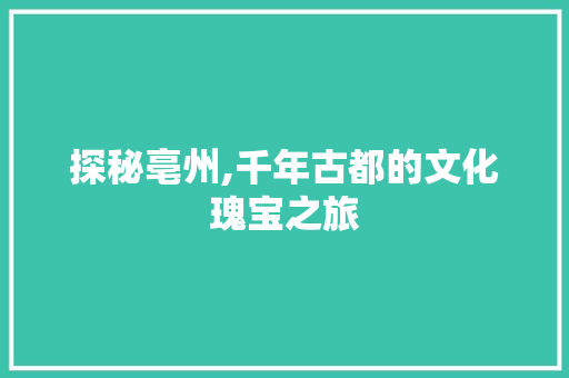 探秘亳州,千年古都的文化瑰宝之旅