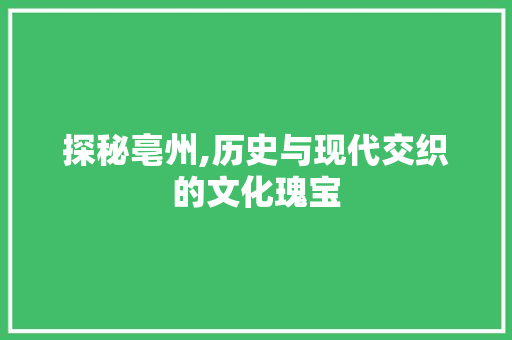 探秘亳州,历史与现代交织的文化瑰宝