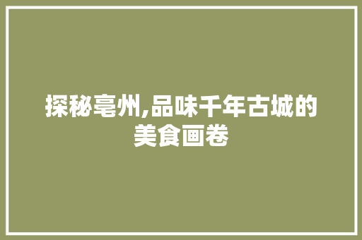 探秘亳州,品味千年古城的美食画卷