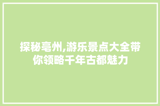 探秘亳州,游乐景点大全带你领略千年古都魅力