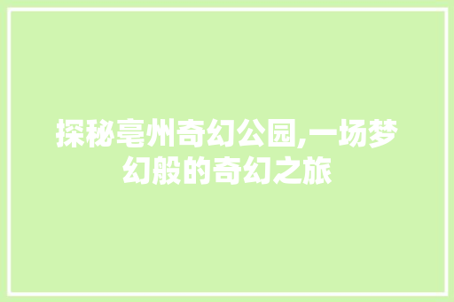 探秘亳州奇幻公园,一场梦幻般的奇幻之旅