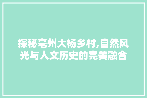 探秘亳州大杨乡村,自然风光与人文历史的完美融合