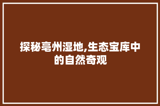 探秘亳州湿地,生态宝库中的自然奇观