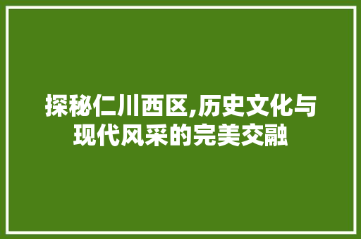 探秘仁川西区,历史文化与现代风采的完美交融