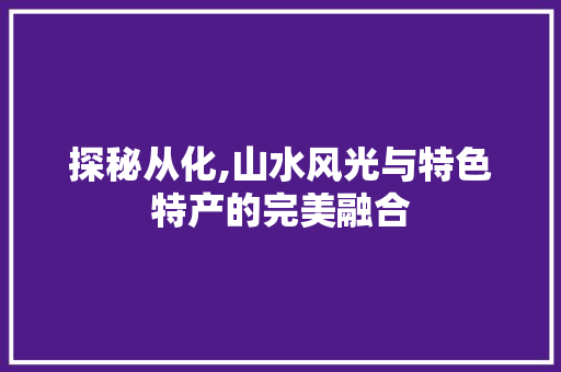 探秘从化,山水风光与特色特产的完美融合