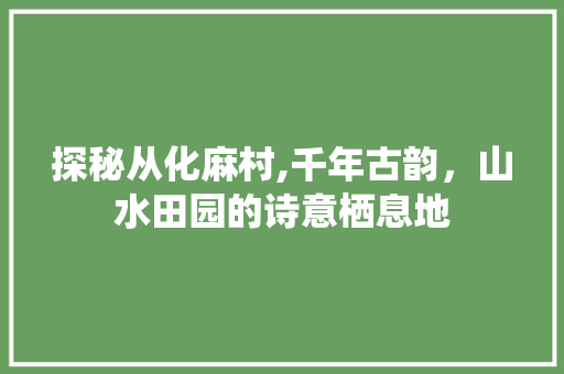 探秘从化麻村,千年古韵，山水田园的诗意栖息地