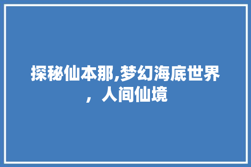 探秘仙本那,梦幻海底世界，人间仙境