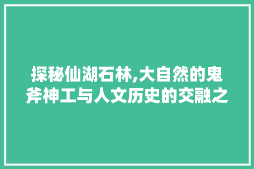 探秘仙湖石林,大自然的鬼斧神工与人文历史的交融之地