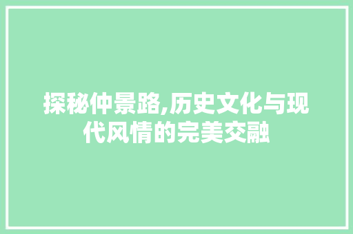 探秘仲景路,历史文化与现代风情的完美交融