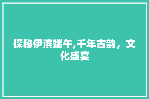 探秘伊滨端午,千年古韵，文化盛宴