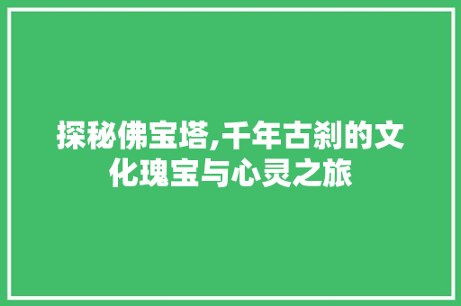 探秘佛宝塔,千年古刹的文化瑰宝与心灵之旅