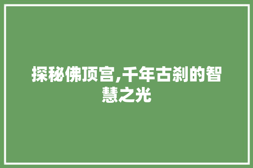 探秘佛顶宫,千年古刹的智慧之光