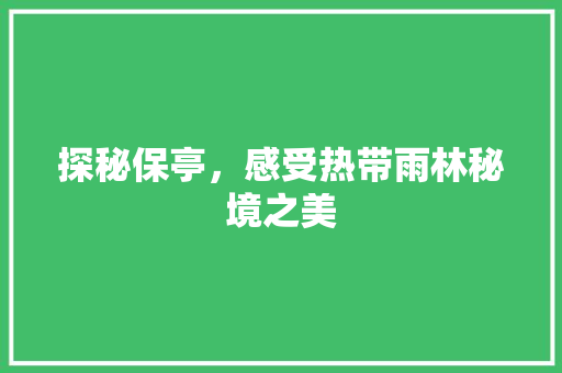 探秘保亭，感受热带雨林秘境之美