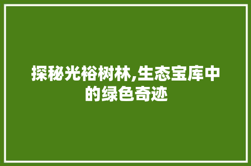 探秘光裕树林,生态宝库中的绿色奇迹