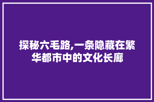 探秘六毛路,一条隐藏在繁华都市中的文化长廊