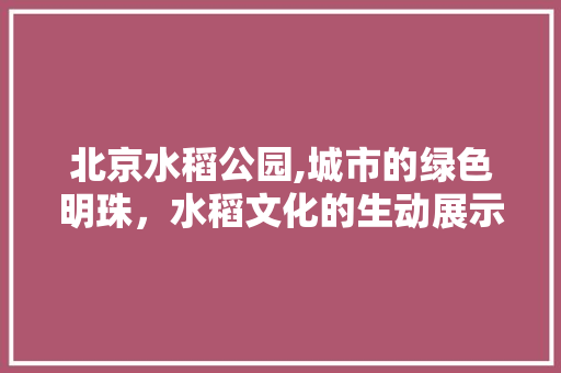 北京水稻公园,城市的绿色明珠，水稻文化的生动展示  第1张