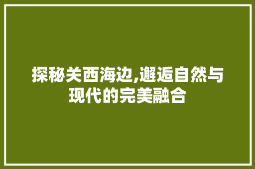 探秘关西海边,邂逅自然与现代的完美融合