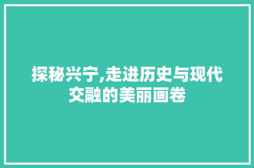 探秘兴宁,走进历史与现代交融的美丽画卷