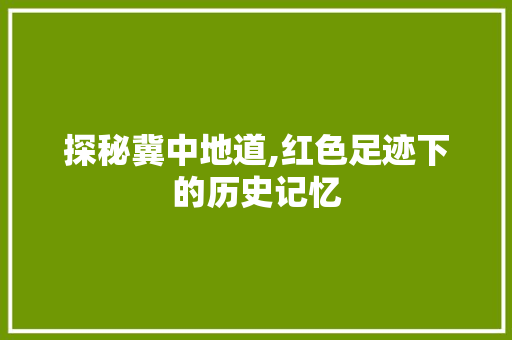 探秘冀中地道,红色足迹下的历史记忆