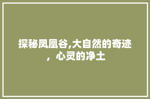 探秘凤凰谷,大自然的奇迹，心灵的净土