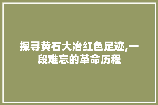 探寻黄石大冶红色足迹,一段难忘的革命历程