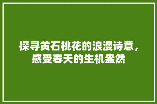 探寻黄石桃花的浪漫诗意，感受春天的生机盎然