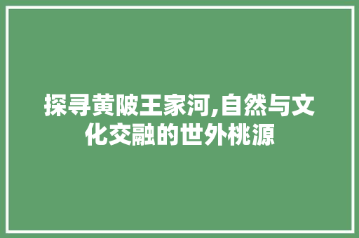 探寻黄陂王家河,自然与文化交融的世外桃源