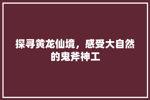 探寻黄龙仙境，感受大自然的鬼斧神工