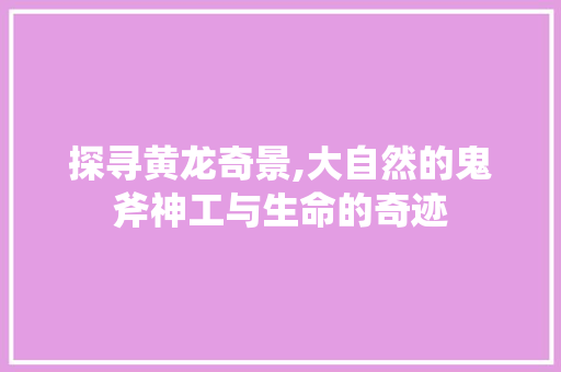 探寻黄龙奇景,大自然的鬼斧神工与生命的奇迹