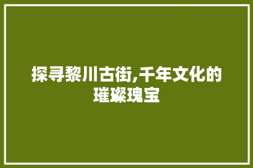 探寻黎川古街,千年文化的璀璨瑰宝