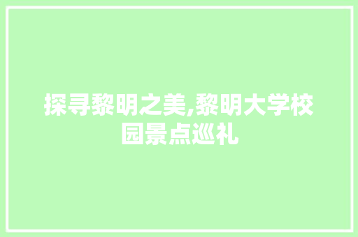 探寻黎明之美,黎明大学校园景点巡礼