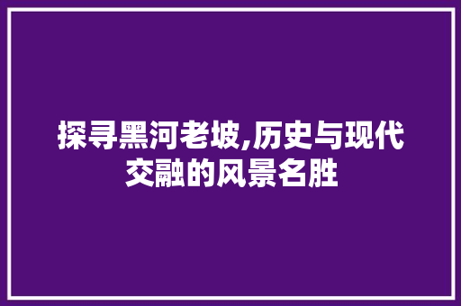 探寻黑河老坡,历史与现代交融的风景名胜