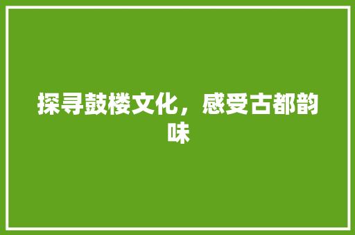 探寻鼓楼文化，感受古都韵味