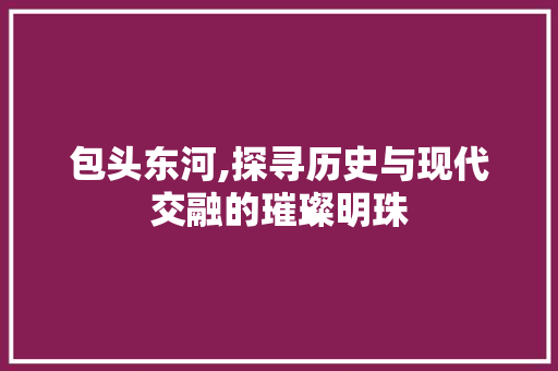 包头东河,探寻历史与现代交融的璀璨明珠