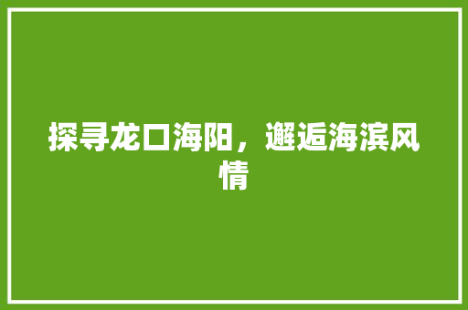 探寻龙口海阳，邂逅海滨风情