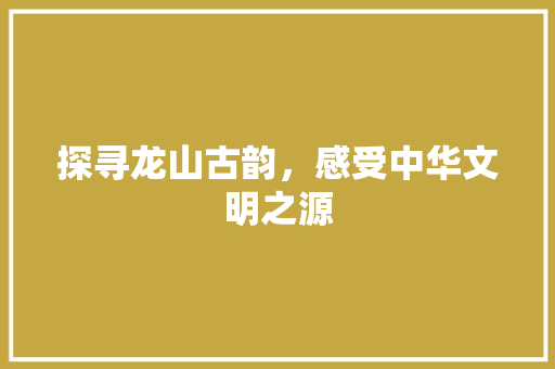 探寻龙山古韵，感受中华文明之源