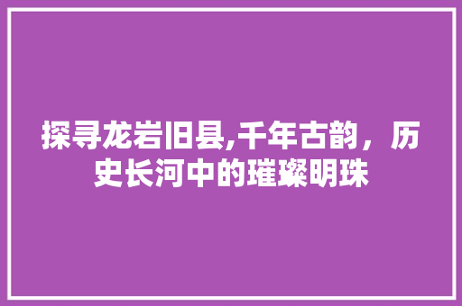 探寻龙岩旧县,千年古韵，历史长河中的璀璨明珠