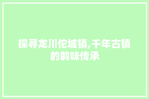 探寻龙川佗城镇,千年古镇的韵味传承