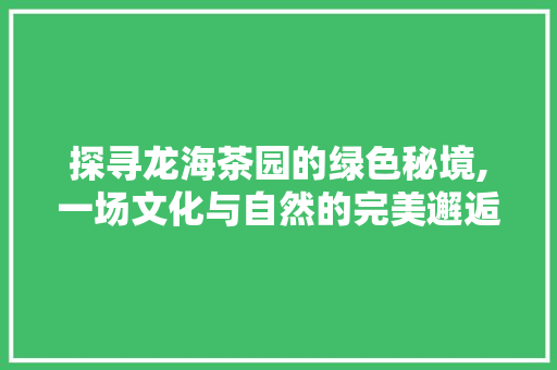 探寻龙海茶园的绿色秘境,一场文化与自然的完美邂逅