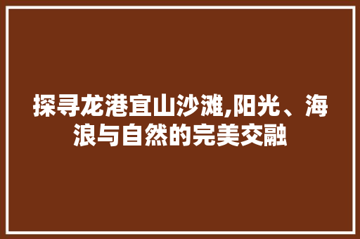 探寻龙港宜山沙滩,阳光、海浪与自然的完美交融