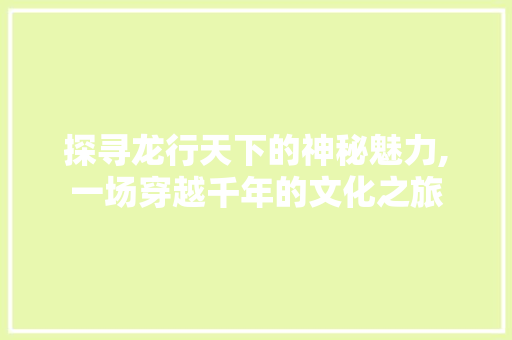 探寻龙行天下的神秘魅力,一场穿越千年的文化之旅