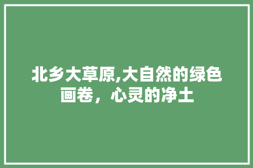 北乡大草原,大自然的绿色画卷，心灵的净土  第1张