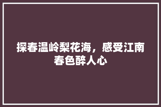 探春温岭梨花海，感受江南春色醉人心