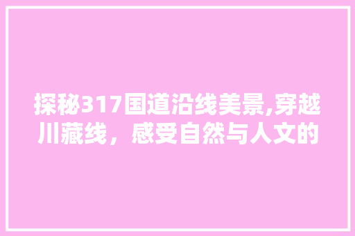 探秘317国道沿线美景,穿越川藏线，感受自然与人文的交融