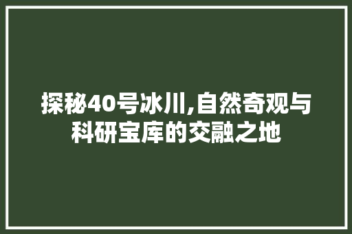 探秘40号冰川,自然奇观与科研宝库的交融之地