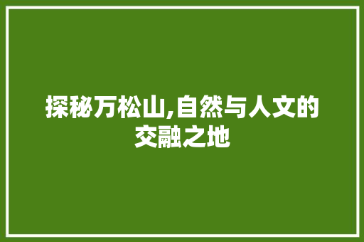 探秘万松山,自然与人文的交融之地