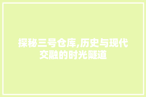 探秘三号仓库,历史与现代交融的时光隧道