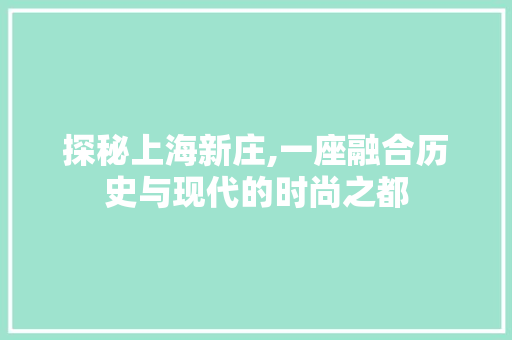 探秘上海新庄,一座融合历史与现代的时尚之都