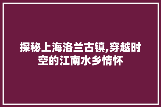 探秘上海洛兰古镇,穿越时空的江南水乡情怀